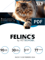 Felinos - III Diplomado Internacional de Medicina Felina Vetschool 2024 2