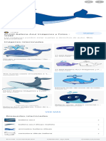 Ballena - Búsqueda de Google