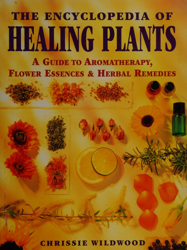 Brothers in arms, a new edition of \, image size:768x1024