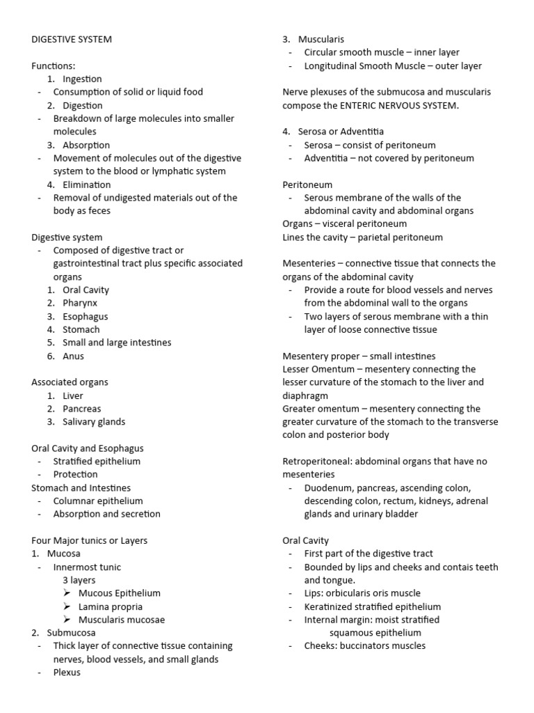 Digestive system notes pdf