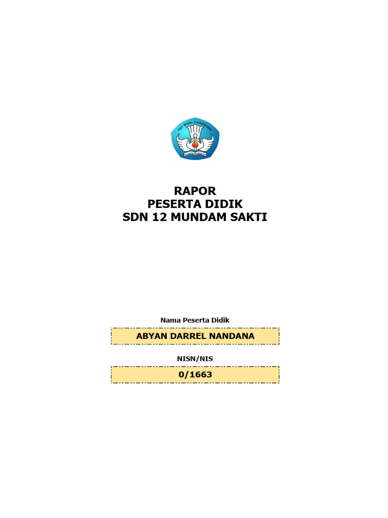 Raport SD | PDF