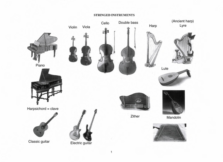 String Instruments Overview | PDF