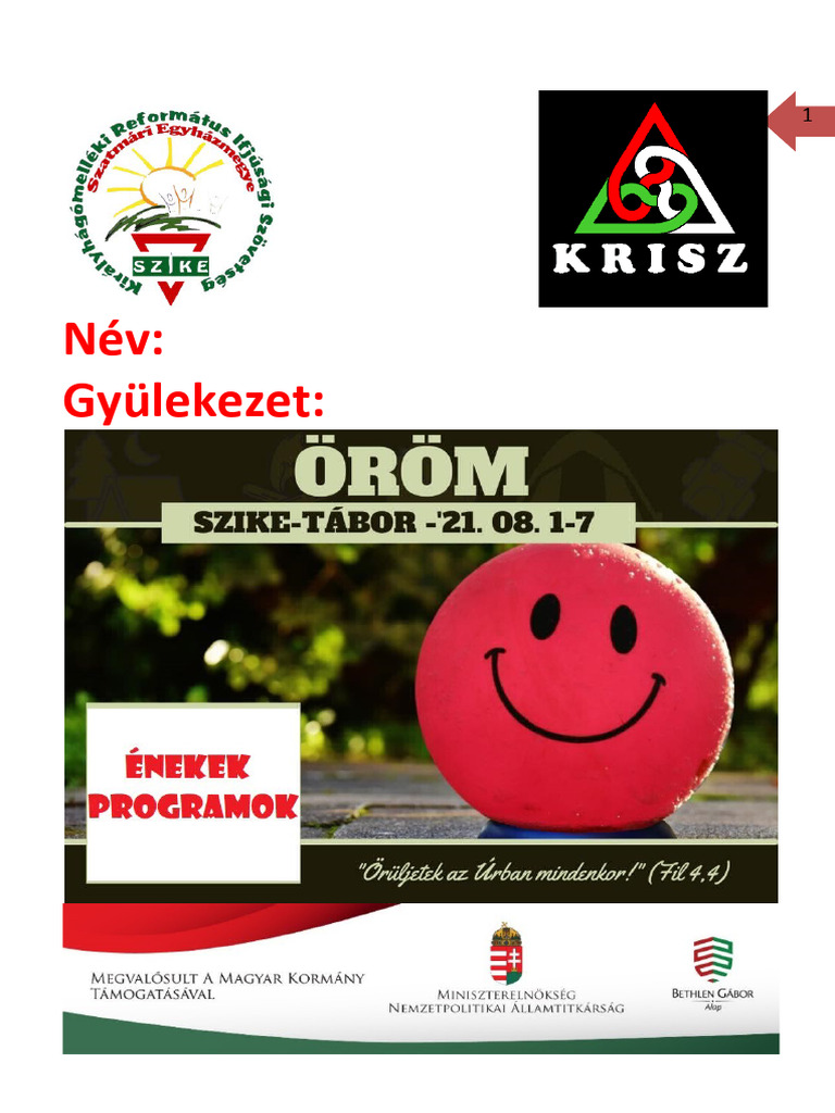 Program Fu Zet | PDF