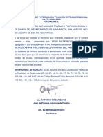 Nulidad Por Infraccion A La Ley Bany Mazariegos 11-1o-2023