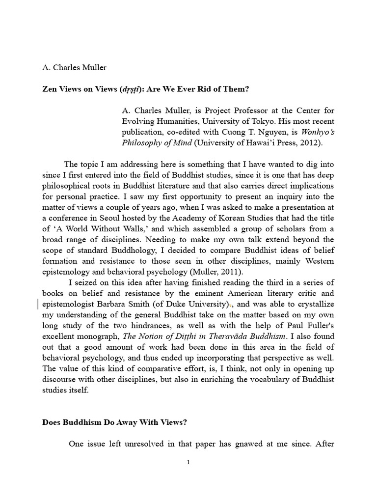 2013 03 zen views on views pdf
