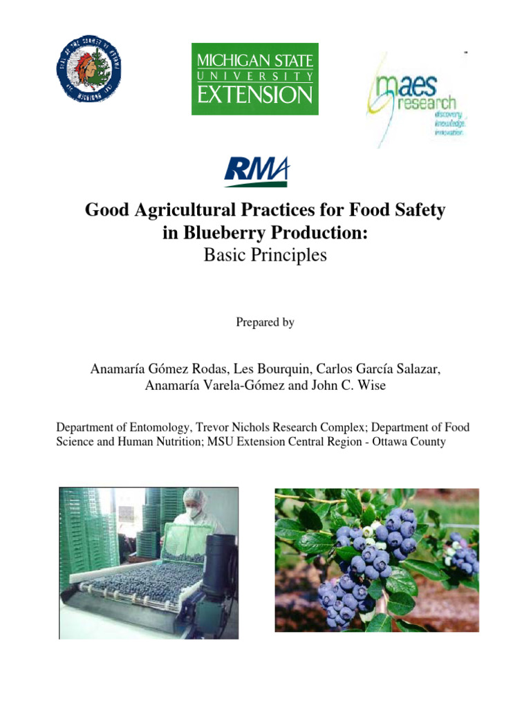 updated-food-safety-manual-pdf-hand-washing-hygiene