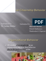 Organizational Citizenship Behavior