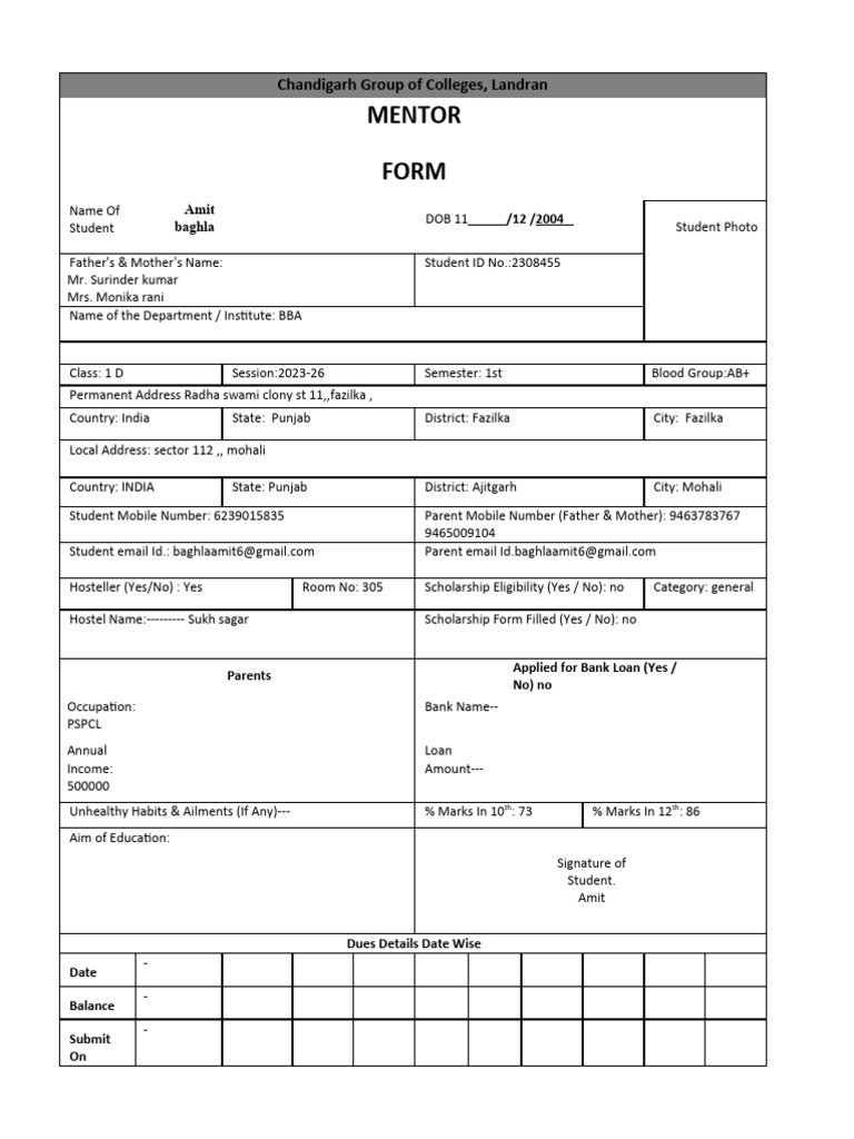 Mentor Form | PDF