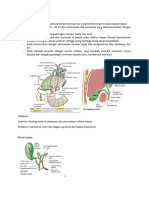 Anatomy of Gall Bladder