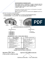 Photosynthesis in Higher Plants
