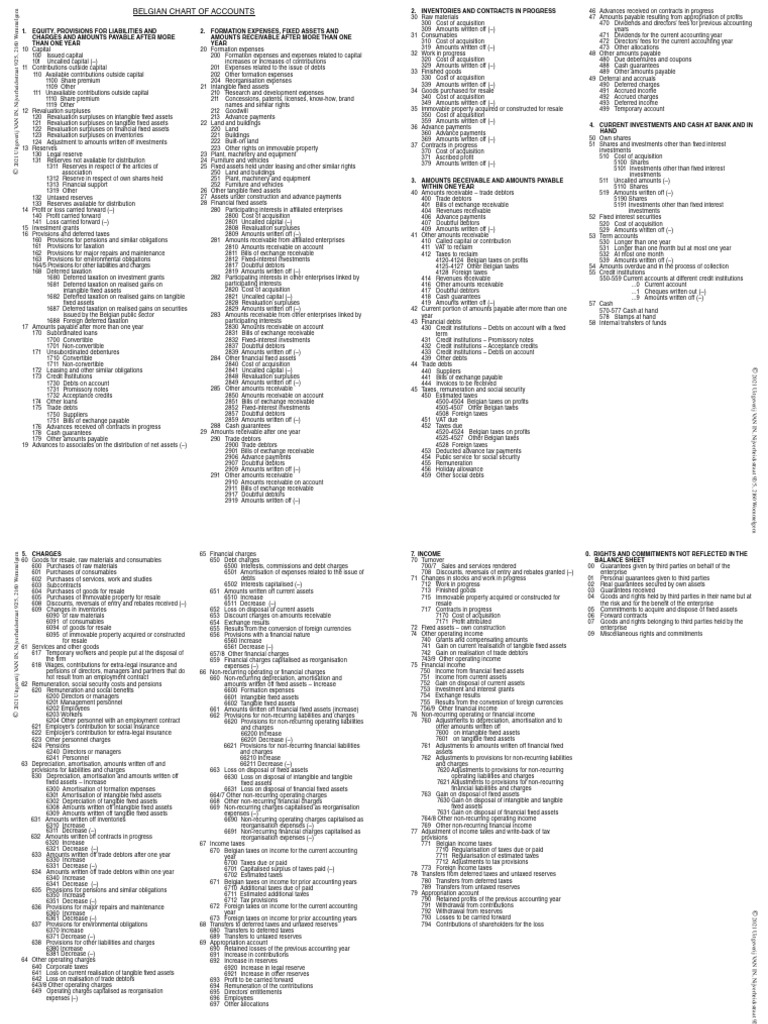 Belgian Chart of Accounts (Version 2020)  PDF