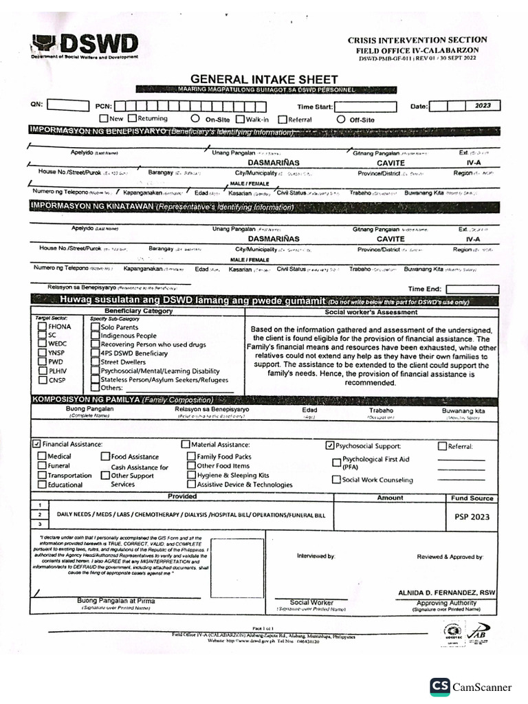 General Intake Sheet | PDF