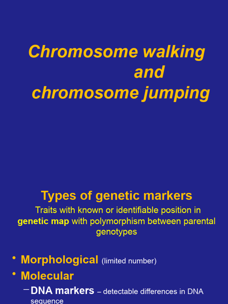 3. Chromosome Walking and Jumping PDF