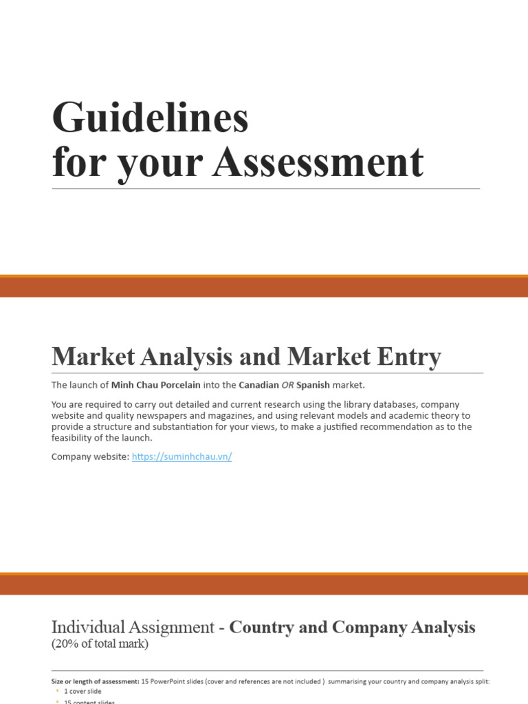 Individual Assignment and Final Report Guidelines | PDF