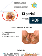 1. Anatomia Del Perine