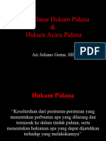 Dasar-Dasar Hukum Pidana