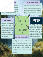 TAREA DE LA SEMANA 1 Organizador de Ecologia