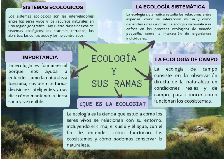 TAREA DE LA SEMANA 1 Organizador de Ecologia | PDF