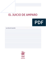 El Juicio de Amparo - Luis David Coaña Be