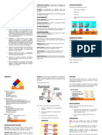 Resumen de Temas de Seguridad y Salud