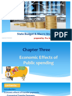 Economic Effects of Public Expenditures