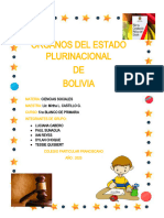 Órganos Del Estado Plurinacional de Bolivia Okok