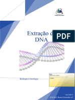 Relatório Secundário DNA