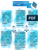 Mapa Conceptual de Los Principios Logicos Del Derecho CR