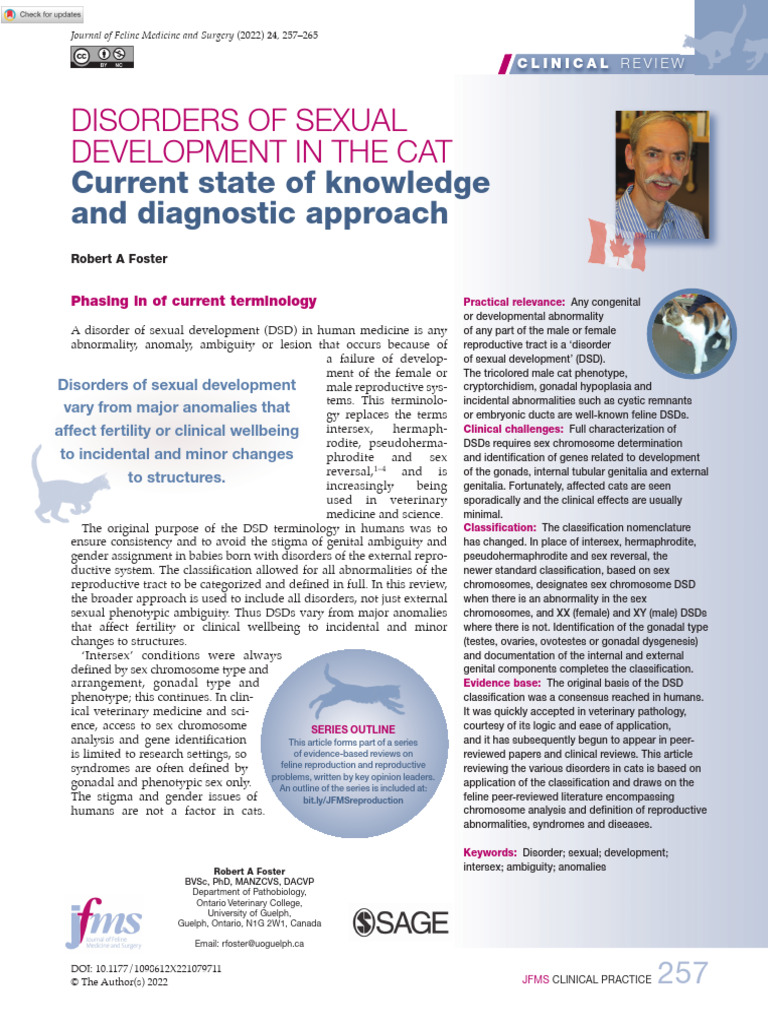 Disorders of Sexual Development in The Cat: Current State of Knowledge ...