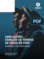 Agricultura Familiar en Tiempos de Crisis en Peru