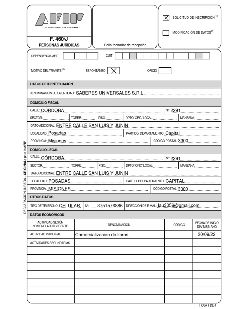 Guía para Completar Formulario 460/J AFIP | PDF | Dinero | Business