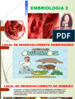 EMBRIOLOGIA2