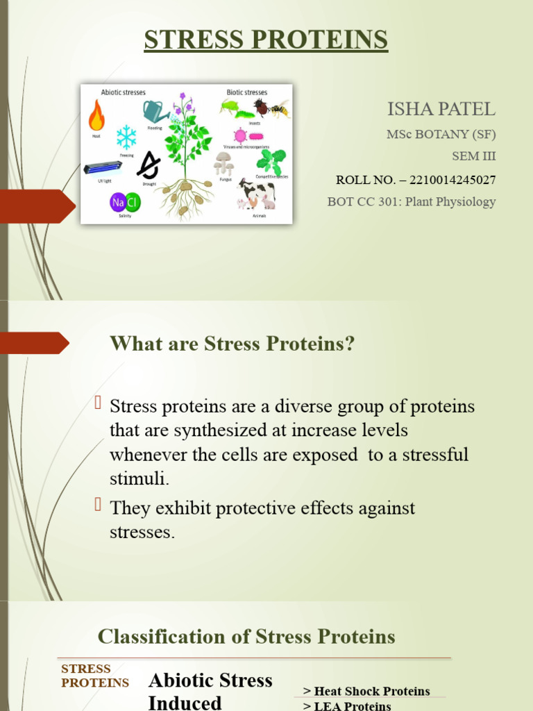 Overview of Stress Proteins in Plants | PDF