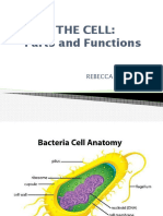 Cell Parts N Functions