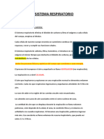 El Sistema Respiratorio (Prueba Del Jueves)