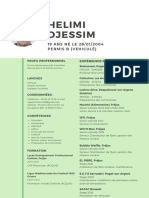 CV Djessim Nouveau Vert 5