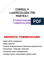 Curs 5- TUBERCULOZA (TB1)
