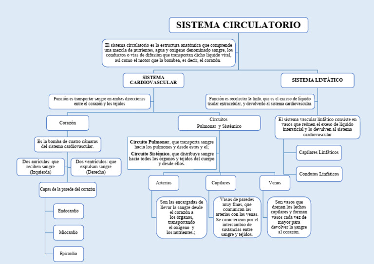 Mapa Conceptual Del Sistema Circulatorio Pdf