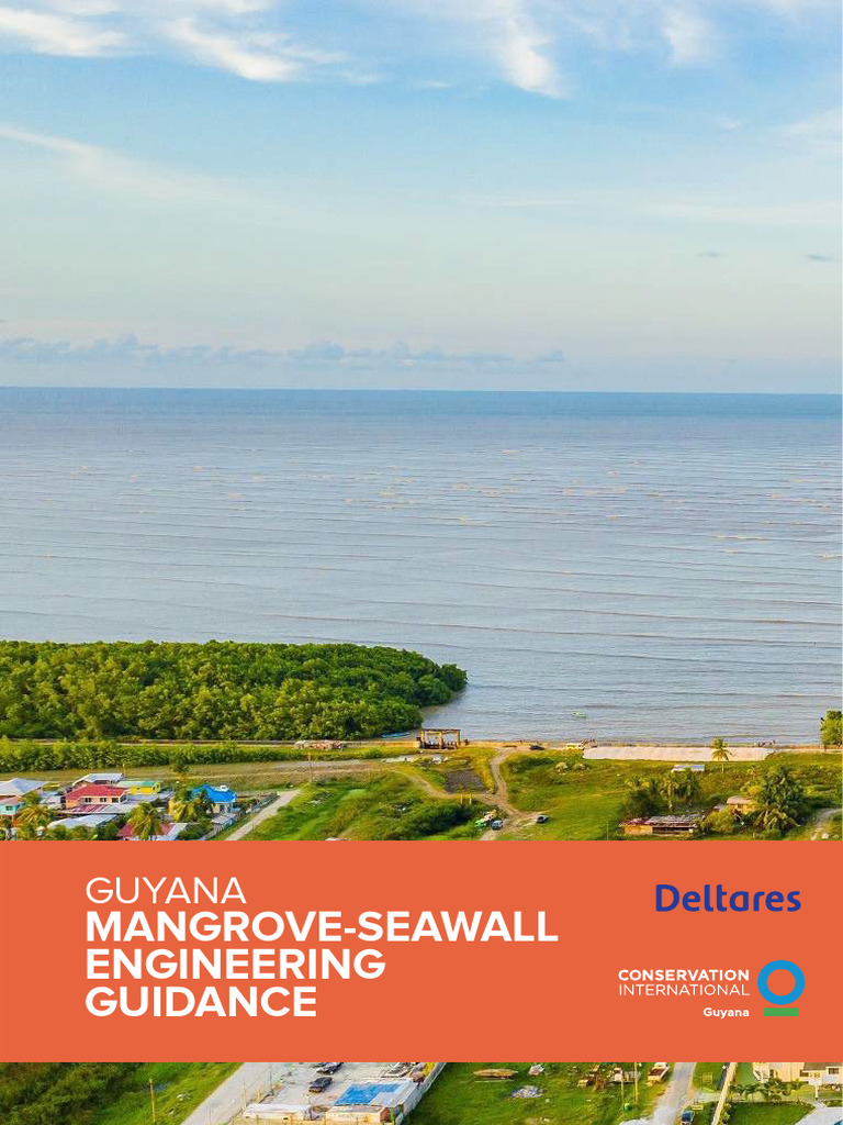 Guyana Green Gray Infrastructure Engineering Guidelines Inclexecsumm