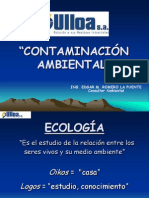 Contaminacion Ambiental