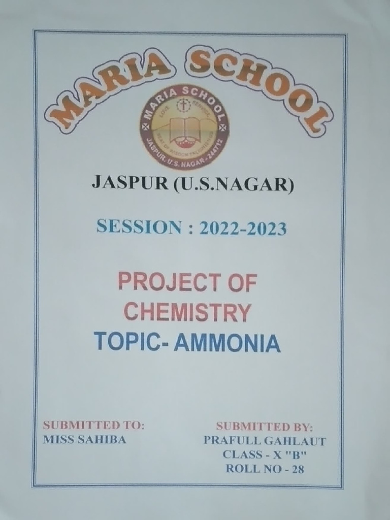 Project File Front Page | PDF