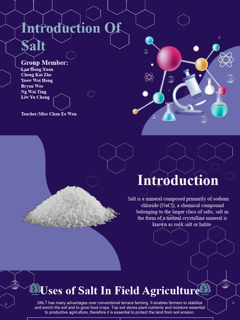 Introduction to Salt and Its Uses | PDF