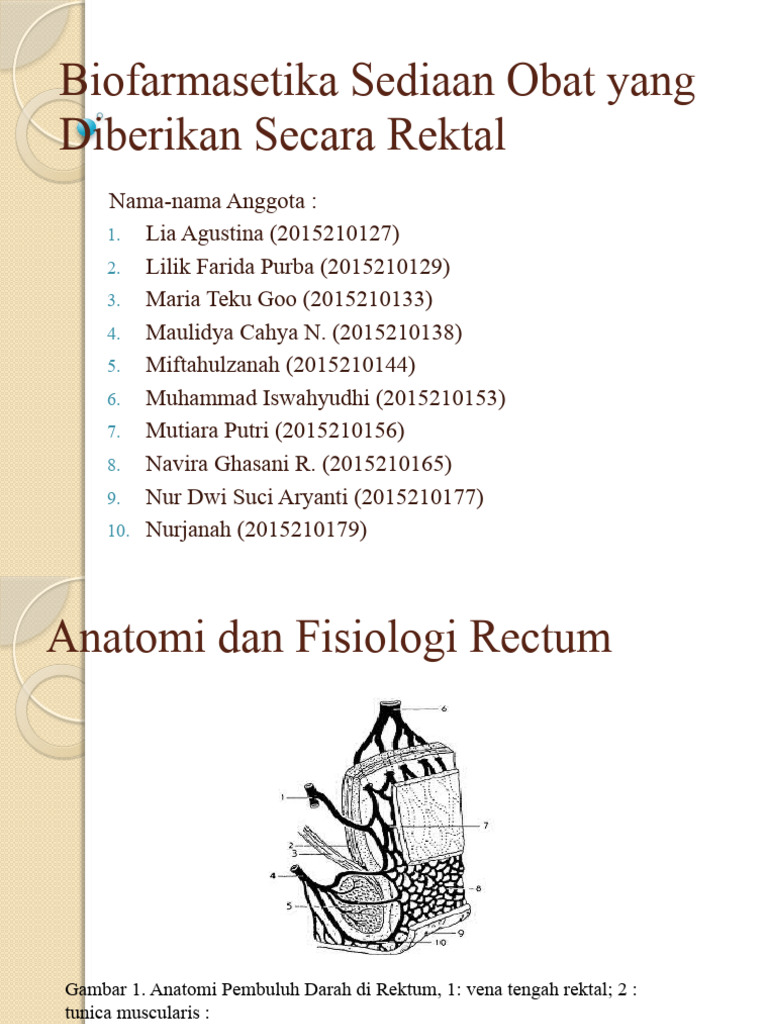 Biofarmasetika Obat Rektal Efektif | PDF | Pengembangan Diri ...