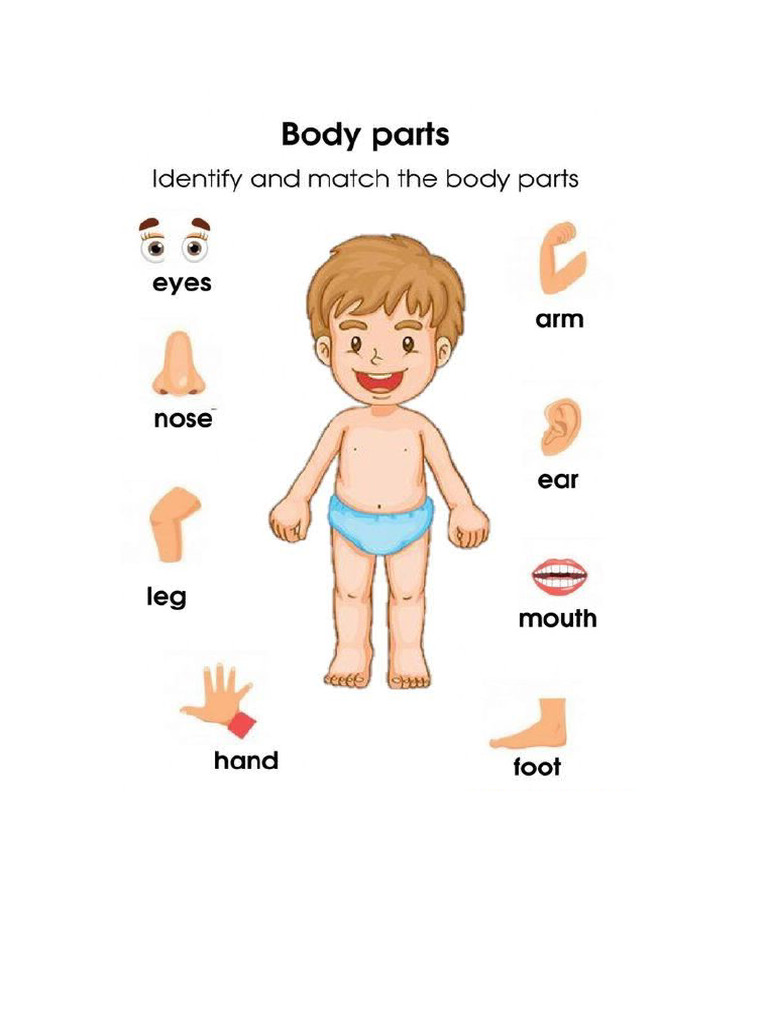 Activity Sheet For Evs Pdf