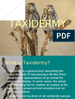 Taxidermy