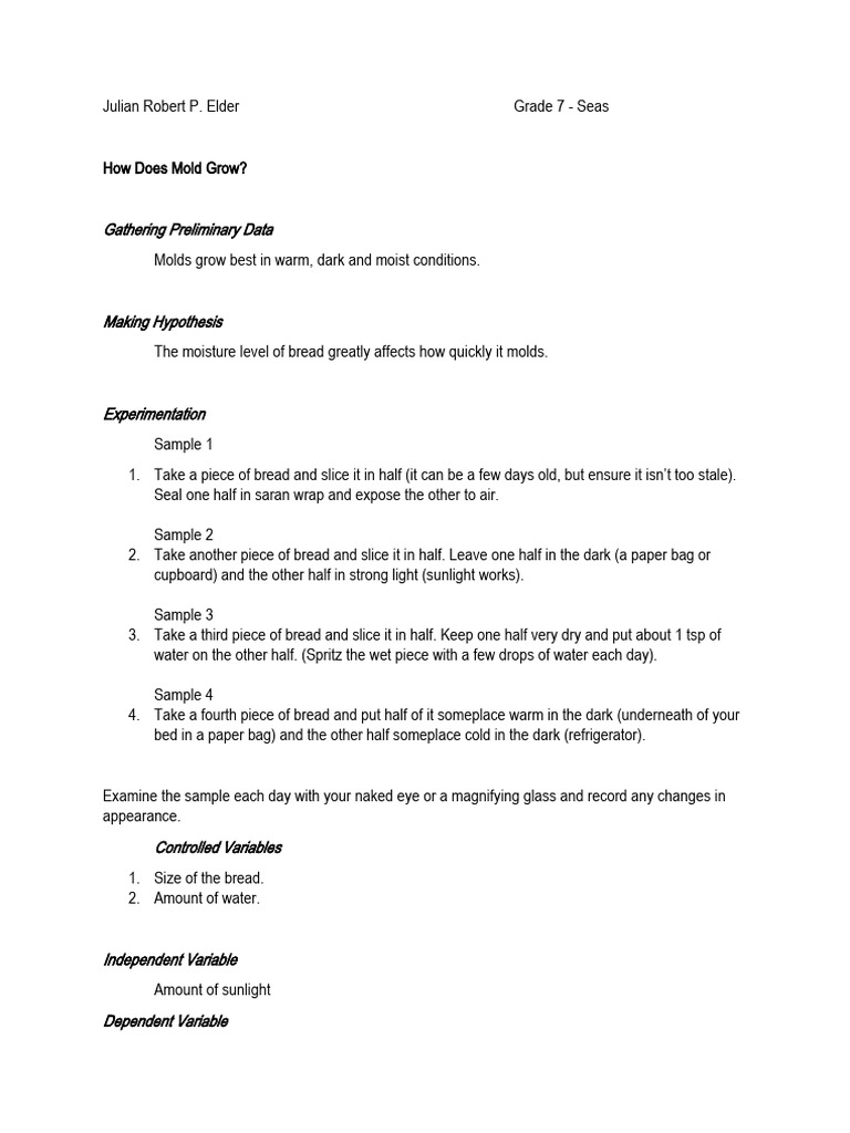 How Does Mold Grow PDF