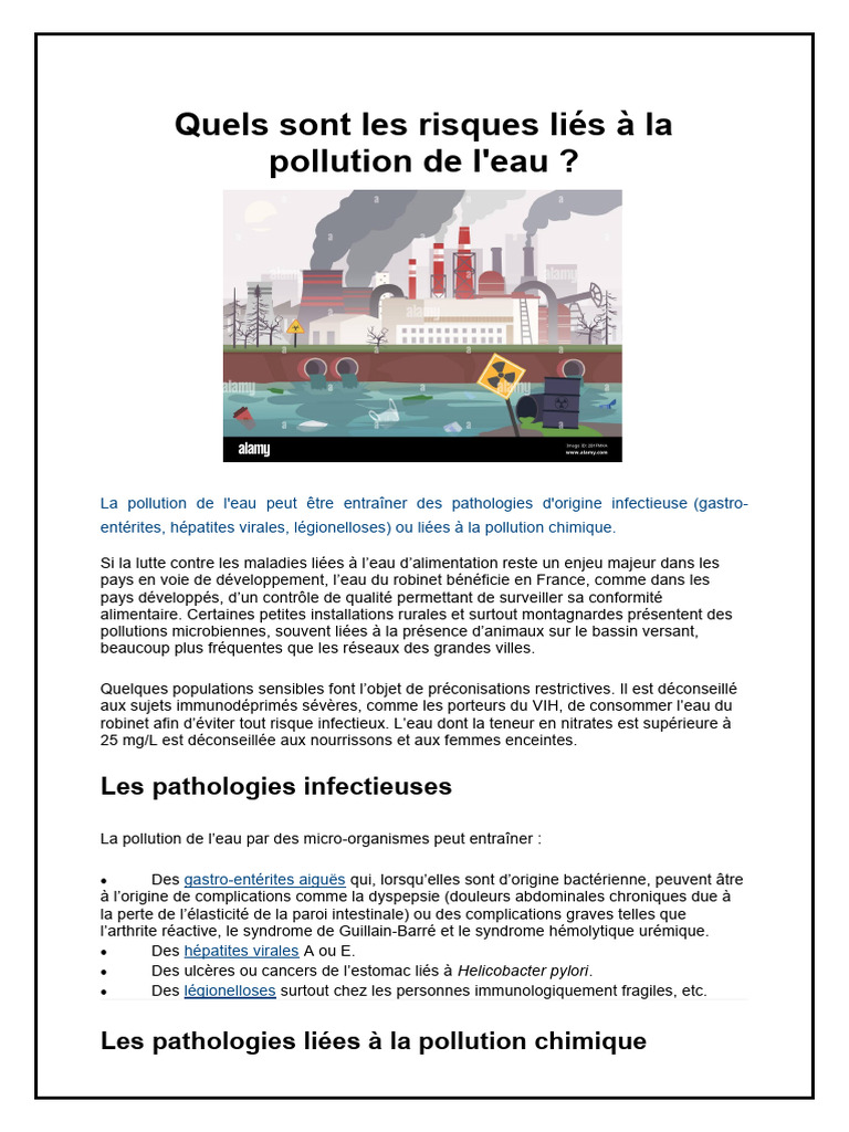 Quels Sont Les Risques Liés À La Pollution de L | PDF | la pollution ...