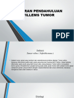 Willems Tumor