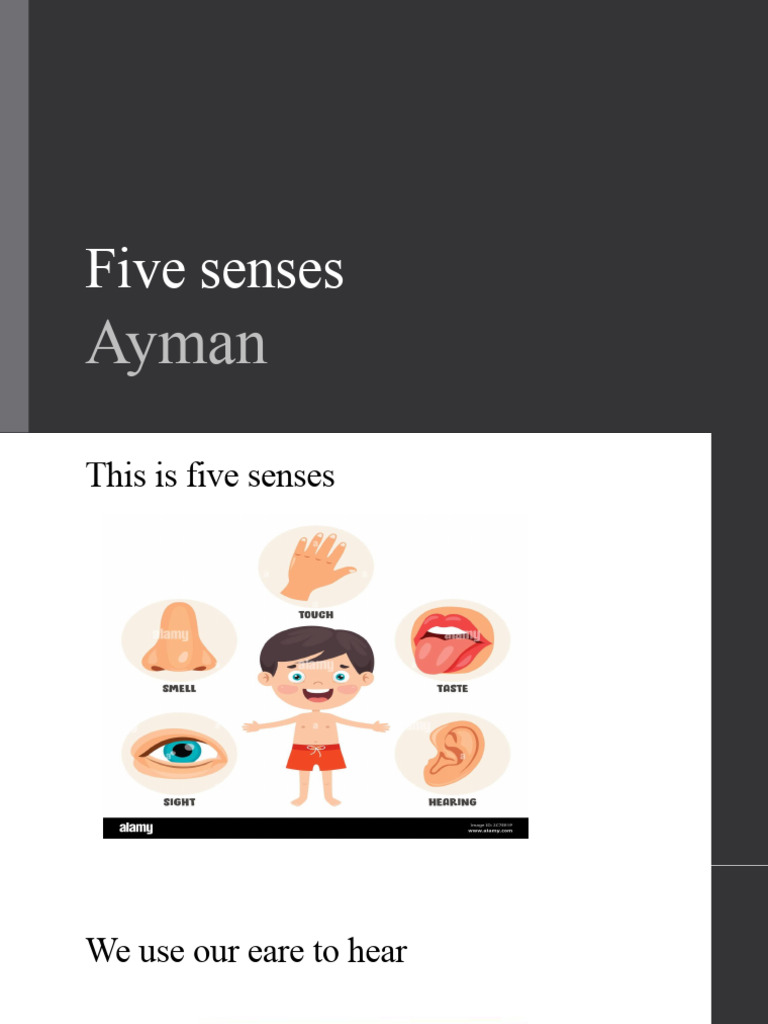 Understanding the Five Senses | PDF | Language Arts & Discipline ...