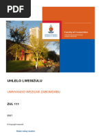 Izingcezu Zenkulumo Nezichasiso | PDF | Language Mechanics | Semantics